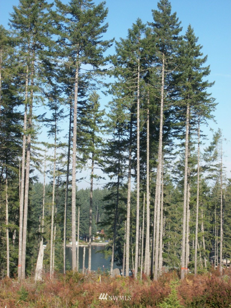 3000 Mason Benson Road East Grapeview, WA 98546 - Photo 1 of 1 Gallery Image 1