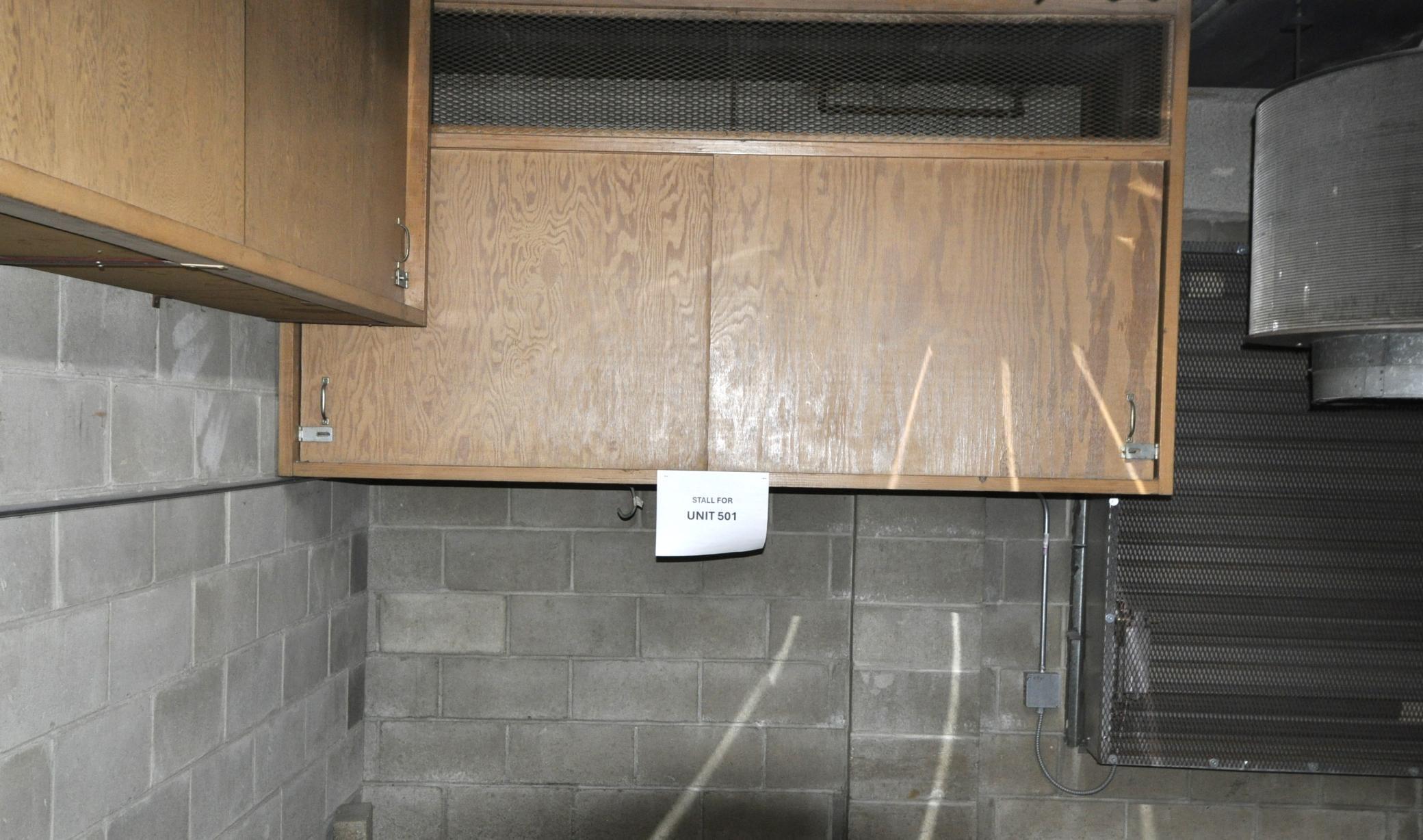 317 6th Avenue Southwest, Unit 501 Rochester, MN 55902 - Photo 22 of 29