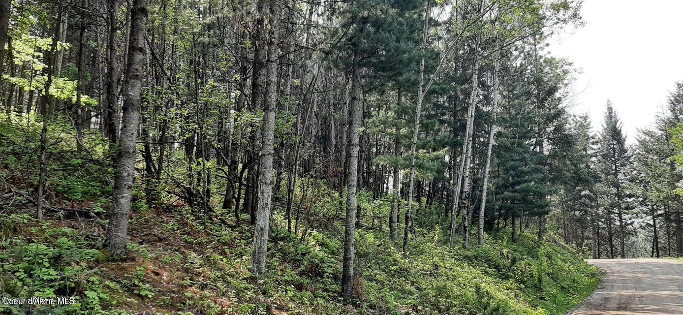 2-parcels Alhambra Road Kellogg, ID 83837 - Photo 2 of 7 20240426023302480719000000-o