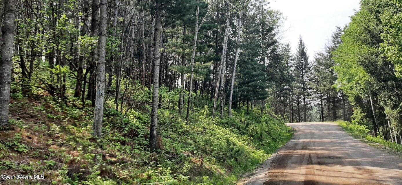 2-parcels Alhambra Road Kellogg, ID 83837 - Photo 3 of 7 20240426023303811249000000-o