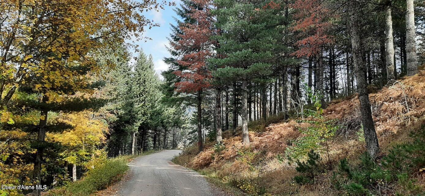 2-parcels Alhambra Road Kellogg, ID 83837 - Photo 5 of 7 20240426023307844075000000-o