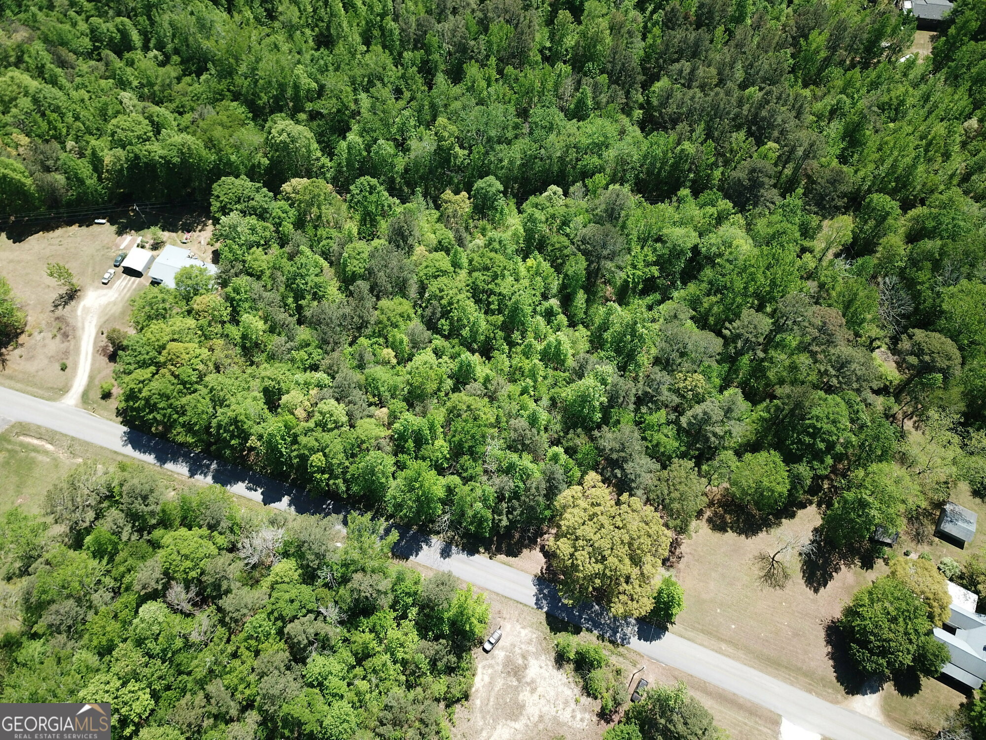 0 Waddell Road Bremen, GA 30110 - Photo 12 of 20