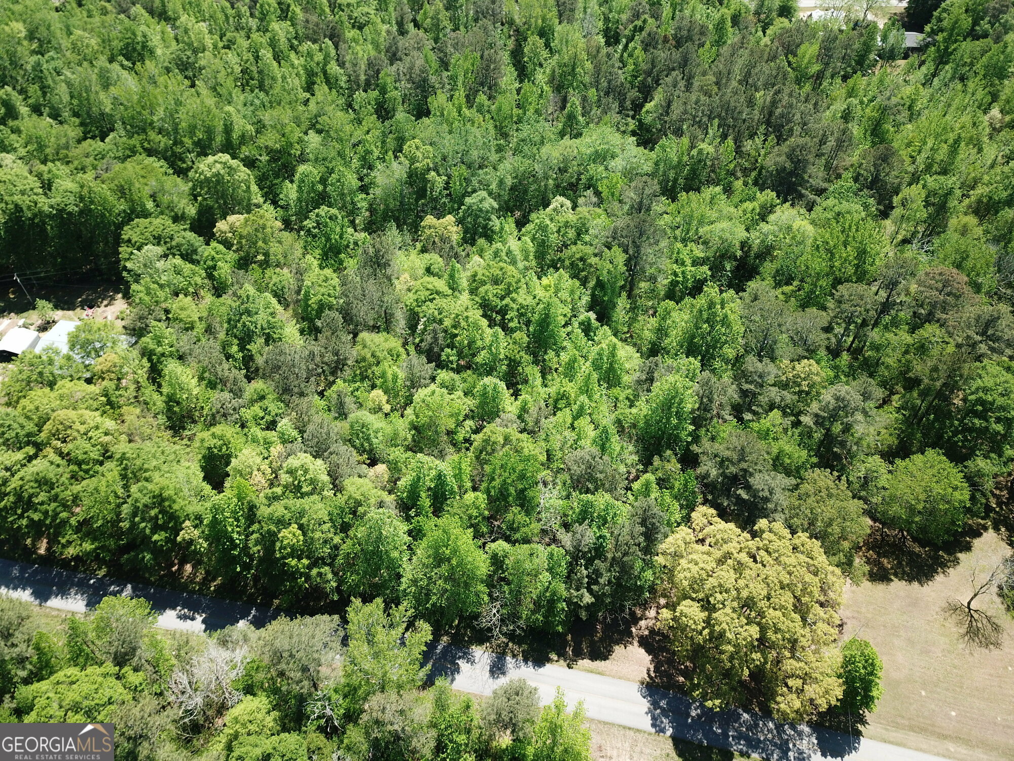 0 Waddell Road Bremen, GA 30110 - Photo 13 of 20