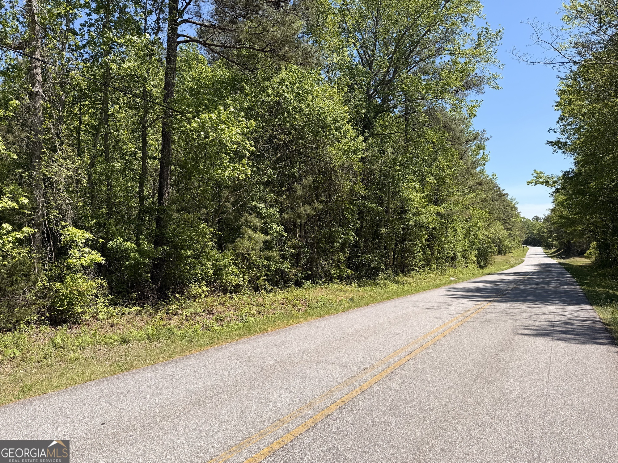 0 Waddell Road Bremen, GA 30110 - Photo 15 of 20