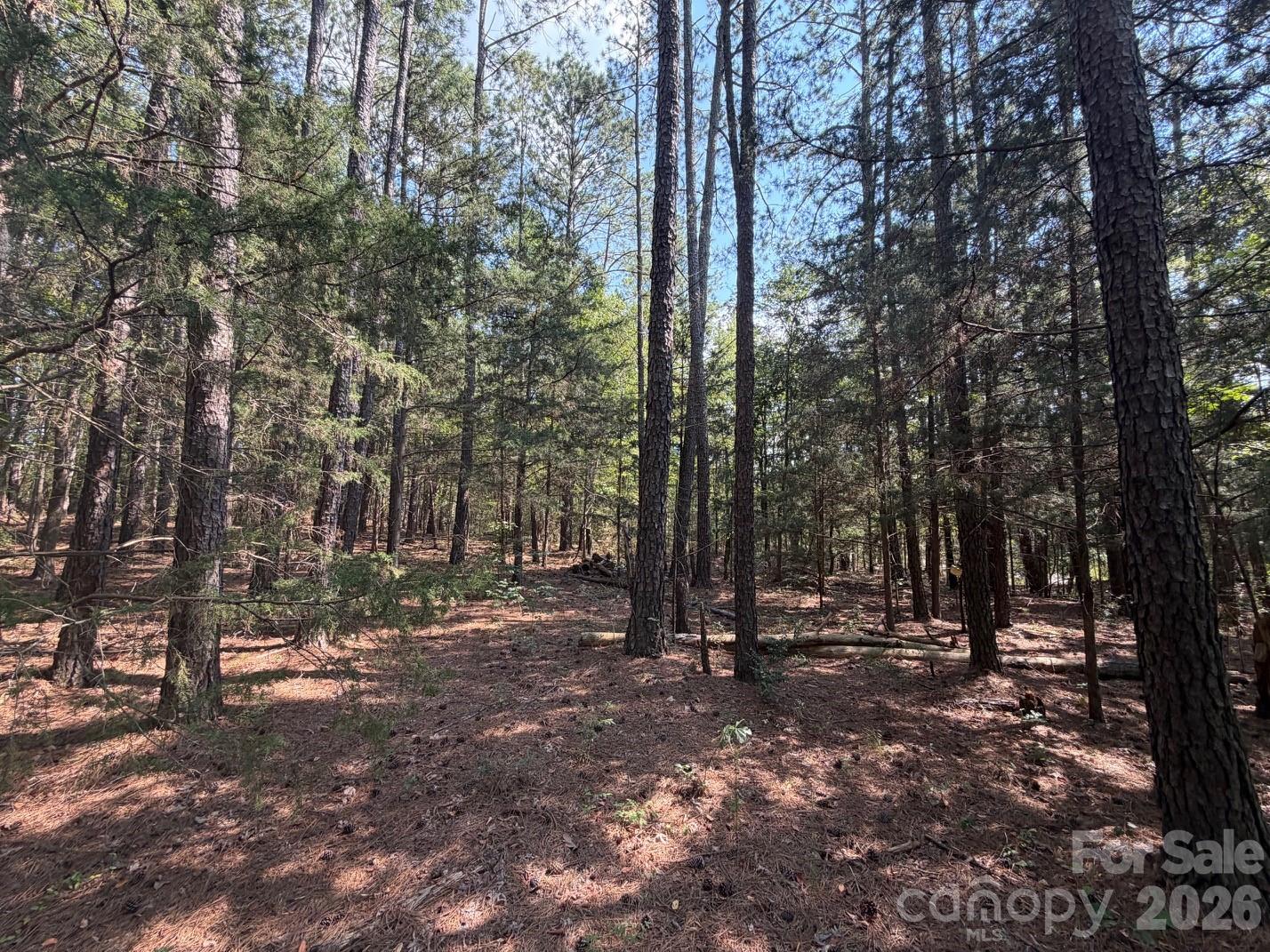 2806 Quinn Road Chester, SC 29706 - Photo 22 of 29 Gallery Image 22