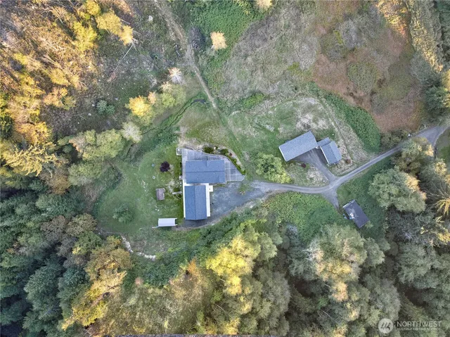 a picture of a tree in front of a house