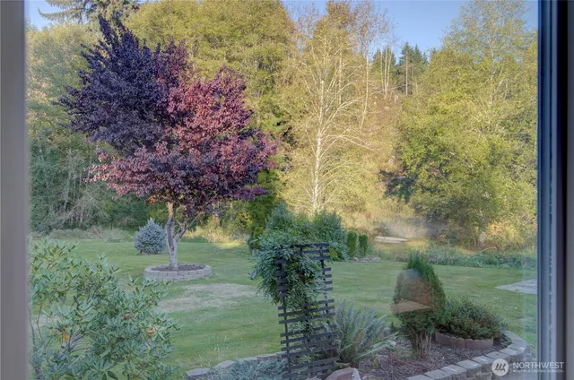 a view of a garden with large trees