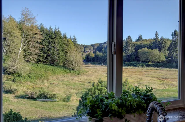 a view of a yard with potted plants