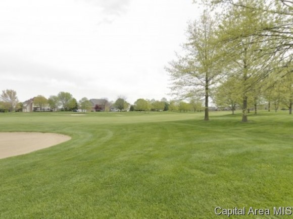 5204 Wildcat Run Springfield, IL 62711 - Photo 24 of 24