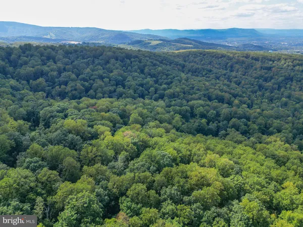 a view of a mountain range with lush green forest