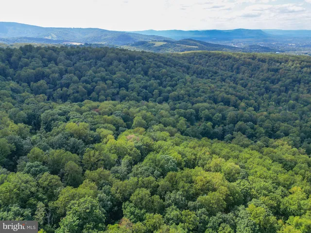 a view of a mountain range with lush green forest