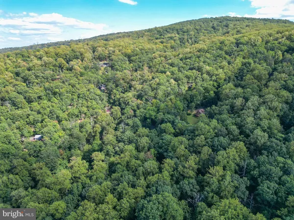 a backyard of a house with lots of plants