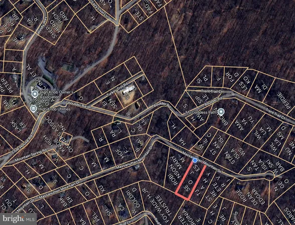 a view of a yard with plants and large trees