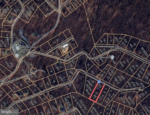 a view of a yard with plants and large trees