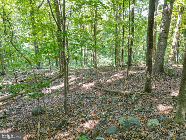 a view of outdoor space and trees