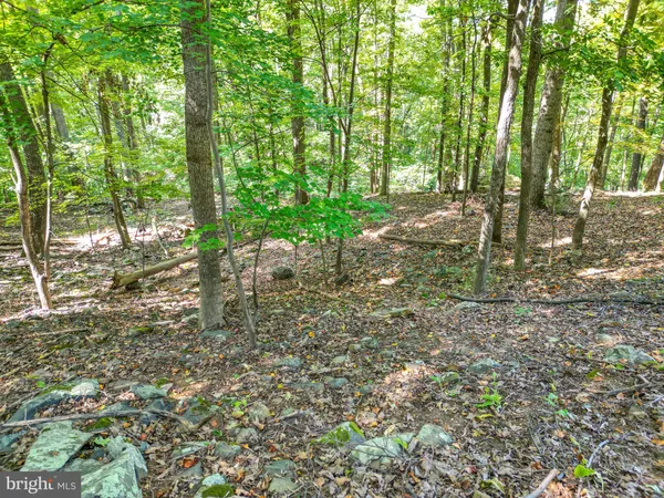 a view of a city and mountains