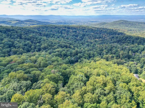 a view of a field with an trees