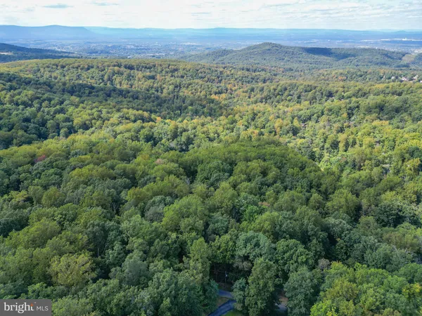a view of a large mountain with trees in the background