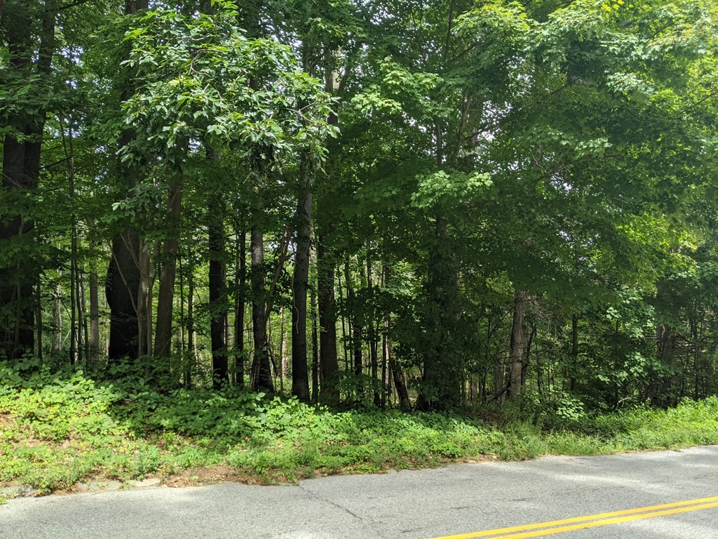 Lot 2 Rice Corner Cross Road Brookfield, MA 01506 - Photo 3 of 3