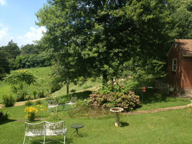 144 Woodcott Road Ferrum, VA 24088 - Photo 4 of 21 a garden with lots of trees