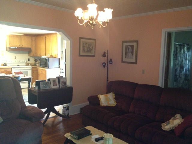 144 Woodcott Road Ferrum, VA 24088 - Photo 8 of 21 a living room with furniture flowerpot and window