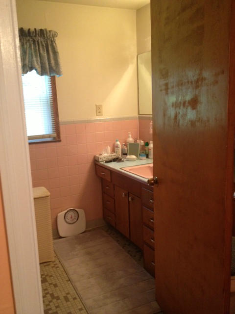 144 Woodcott Road Ferrum, VA 24088 - Photo 10 of 21 a bathroom with a sink and a toilet
