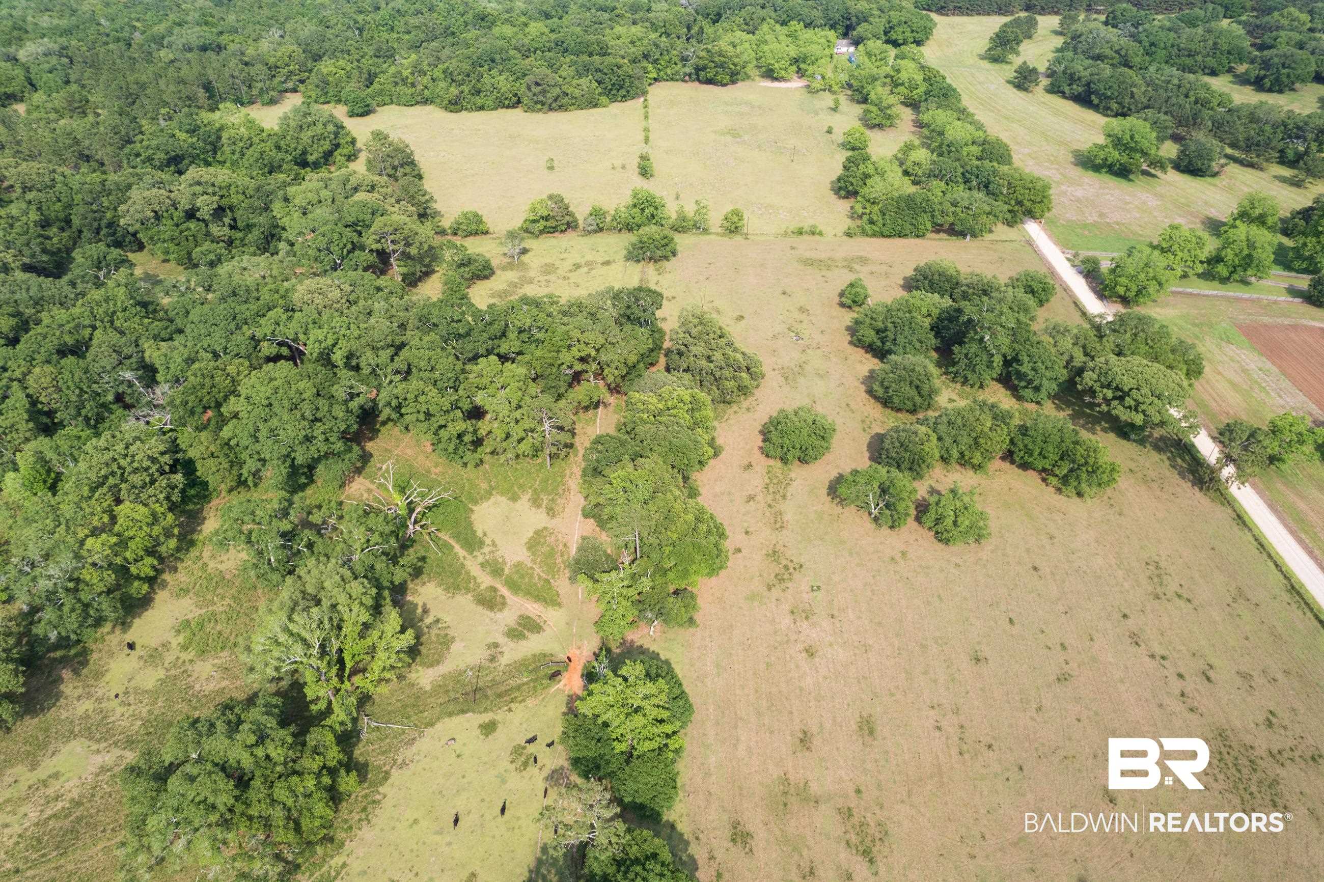 11350 Jack Hamilton Road Mobile, AL 36695 - Photo 8 of 31