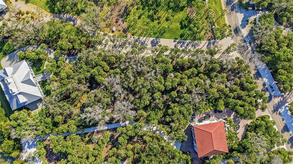 Manasota Key Road Englewood, FL 34223 - Photo 8 of 16 a picture of a tree