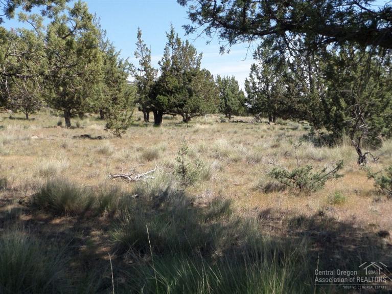 8855 Southwest Crater Loop Road Terrebonne, OR 97760 - Photo 4 of 8 Additional Photo