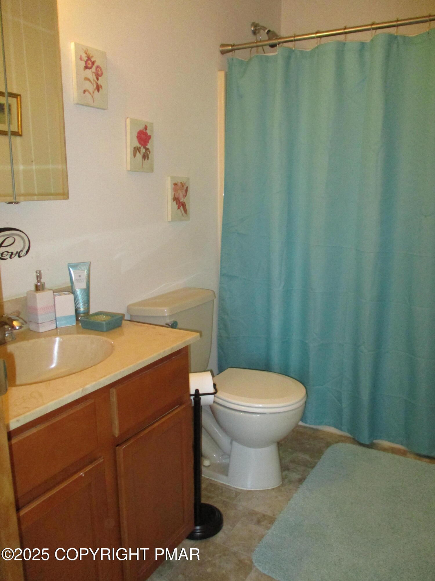 3290 Bluebird Drive Bushkill, PA 18324 - Photo 16 of 19 a bathroom with a sink a toilet and a mirror