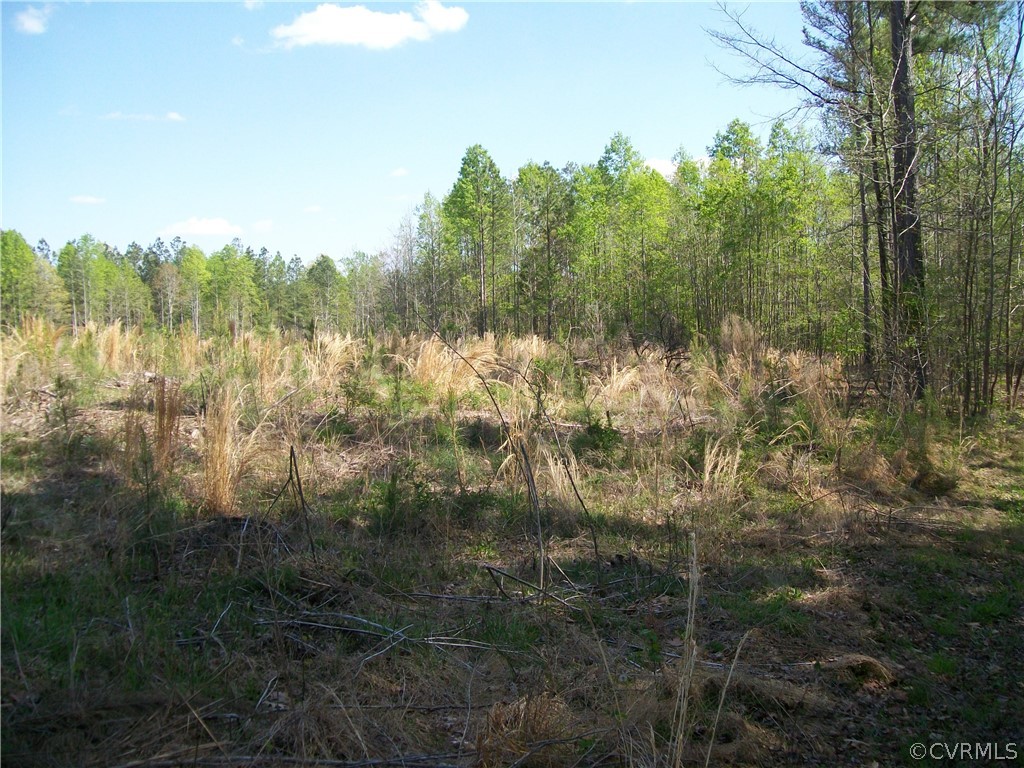 0 Hillside Road Ringgold, VA 24586 - Photo 14 of 39 a view of a yard