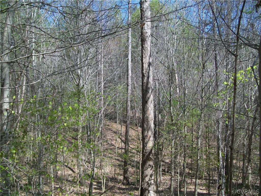 0 Hillside Road Ringgold, VA 24586 - Photo 16 of 39 a view of forest