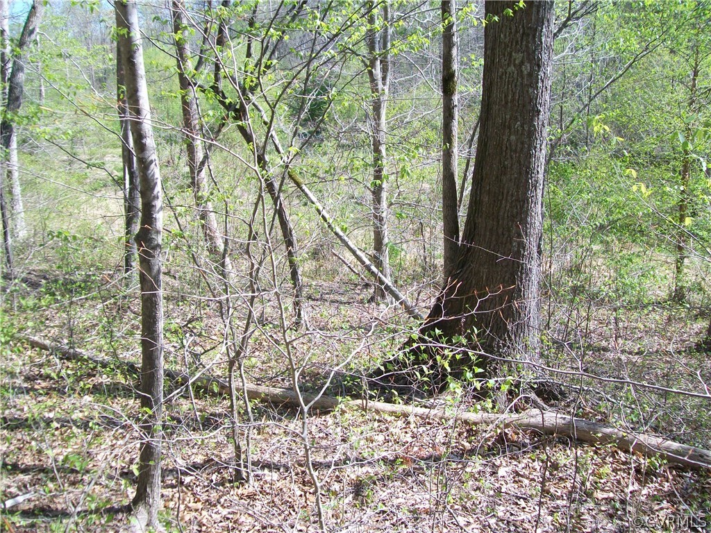 0 Hillside Road Ringgold, VA 24586 - Photo 20 of 39 a backyard of a house with lots of green space