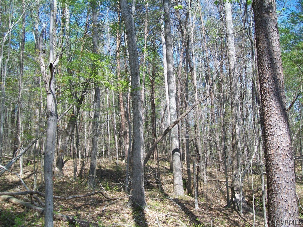0 Hillside Road Ringgold, VA 24586 - Photo 21 of 39 a view of a forest
