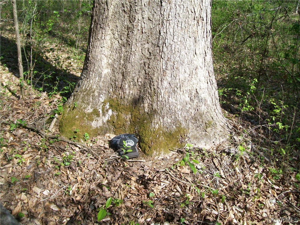 0 Hillside Road Ringgold, VA 24586 - Photo 26 of 39 a yard with a trees