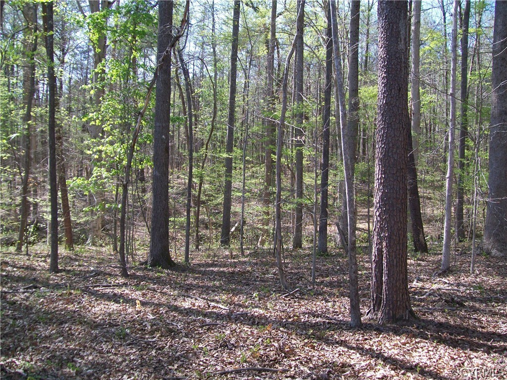 0 Hillside Road Ringgold, VA 24586 - Photo 29 of 39 a view of a forest that has large trees