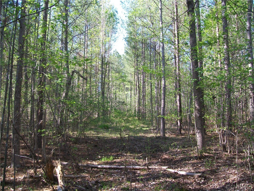 0 Hillside Road Ringgold, VA 24586 - Photo 32 of 39 a view of forest