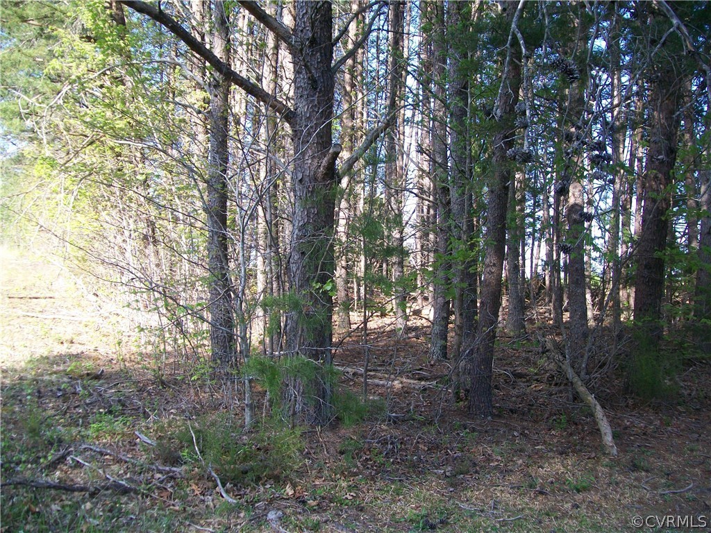0 Hillside Road Ringgold, VA 24586 - Photo 38 of 39 a view of forest