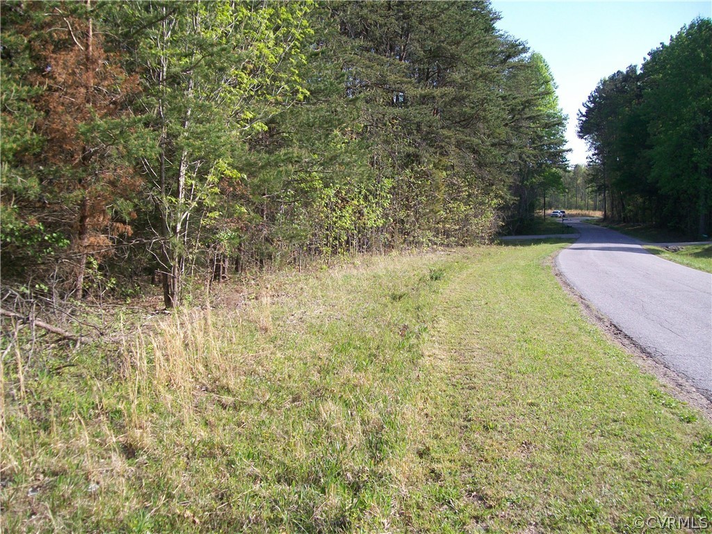 0 Hillside Road Ringgold, VA 24586 - Photo 39 of 39 a view of a yard with an trees