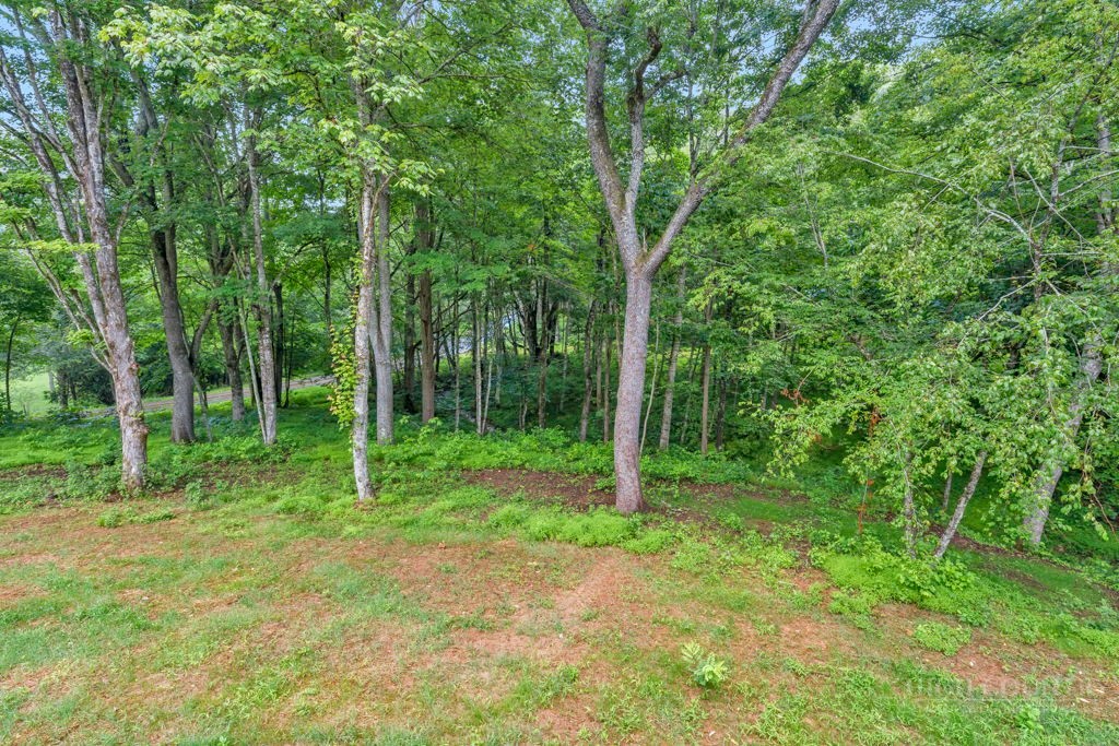 116 Coyote Trail Boone, NC 28607 - Photo 43 of 48