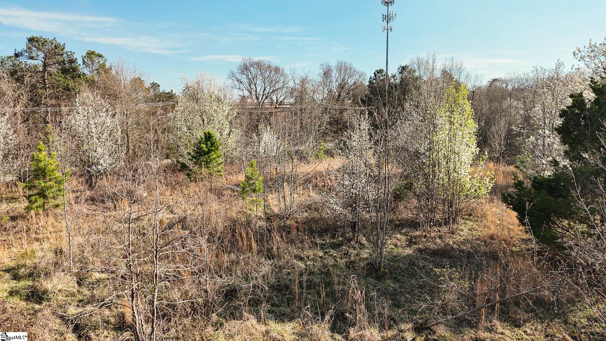 647 Blackwell Road Greer, SC 29651 - Photo 11 of 17