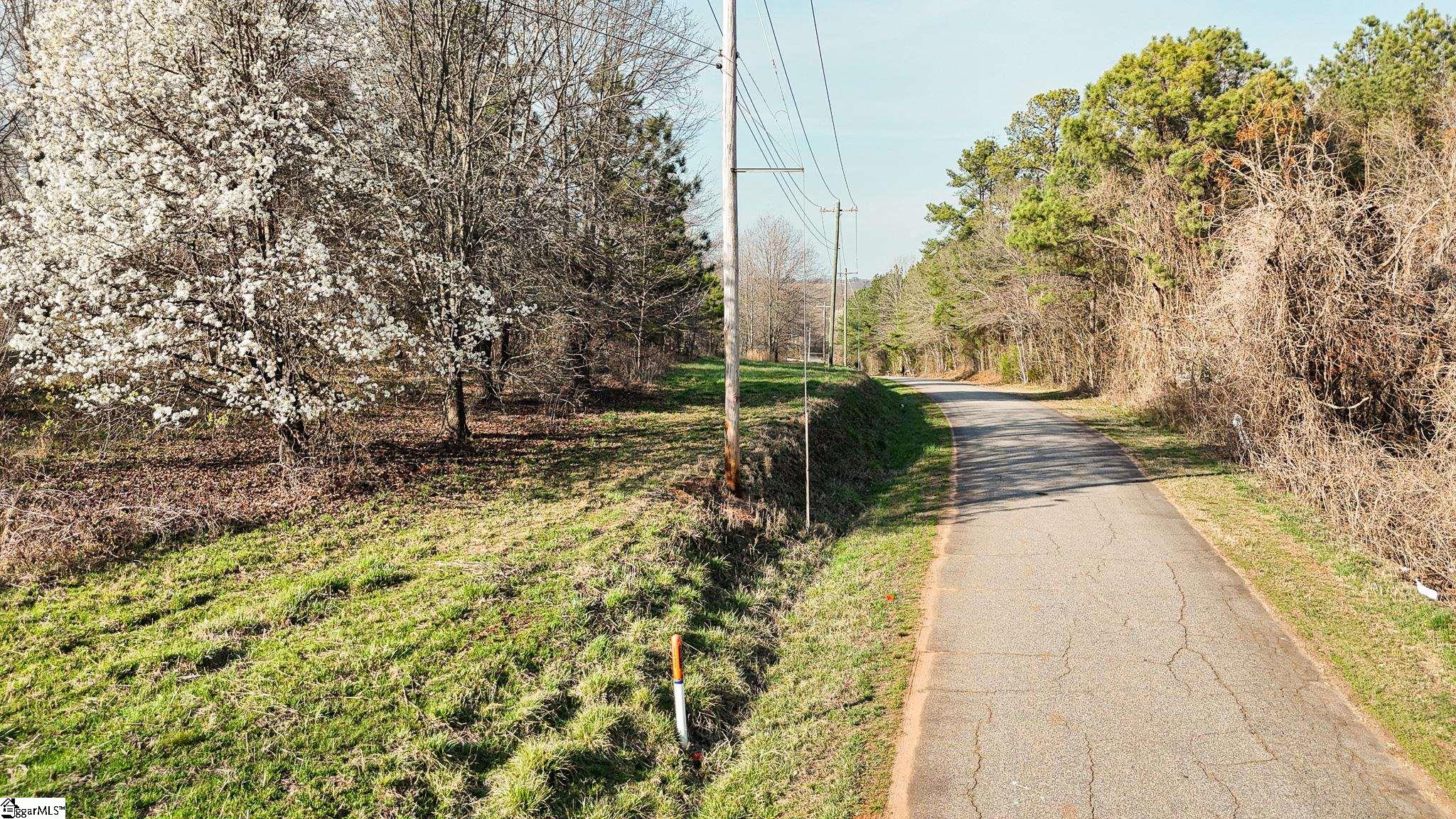 647 Blackwell Road Greer, SC 29651 - Photo 12 of 17