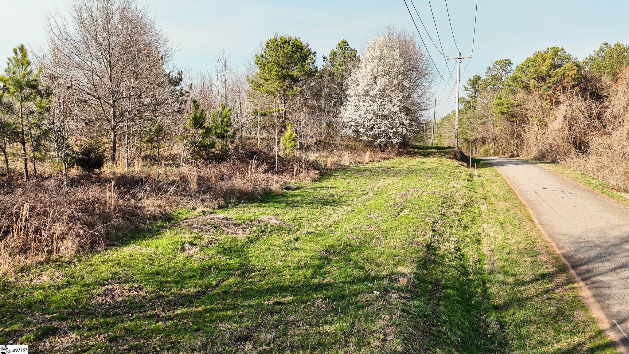 647 Blackwell Road Greer, SC 29651 - Photo 13 of 17