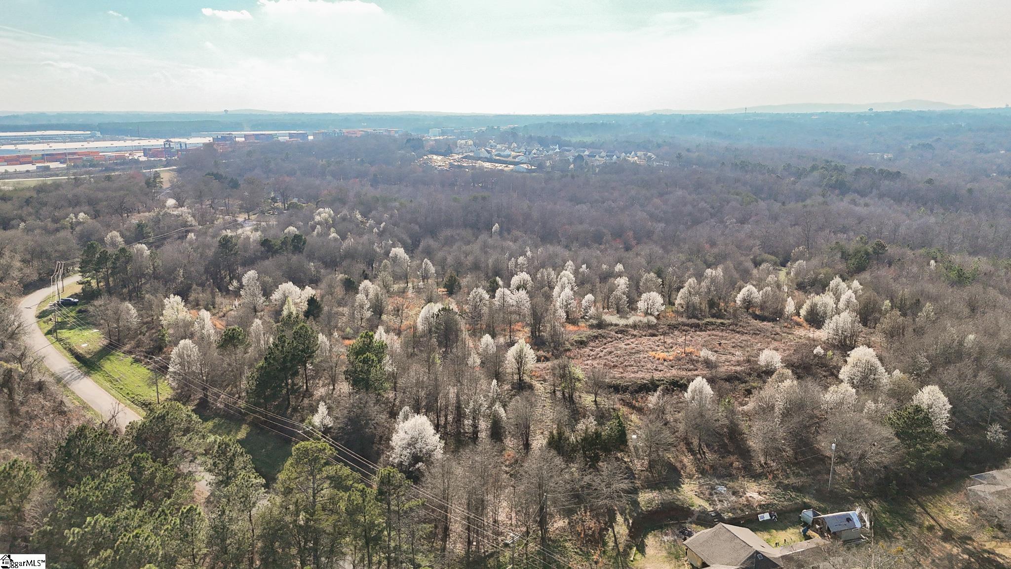 647 Blackwell Road Greer, SC 29651 - Photo 2 of 17