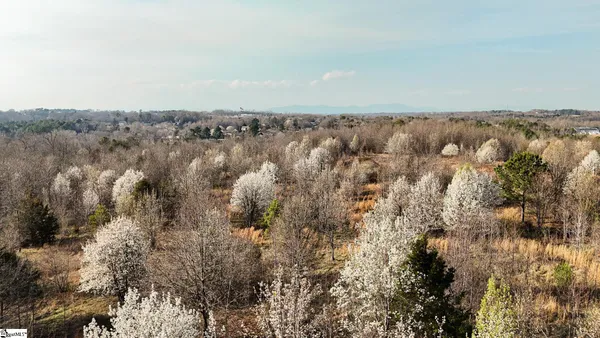 $2,300,000 | 647 Blackwell Road, Greer, SC 29651