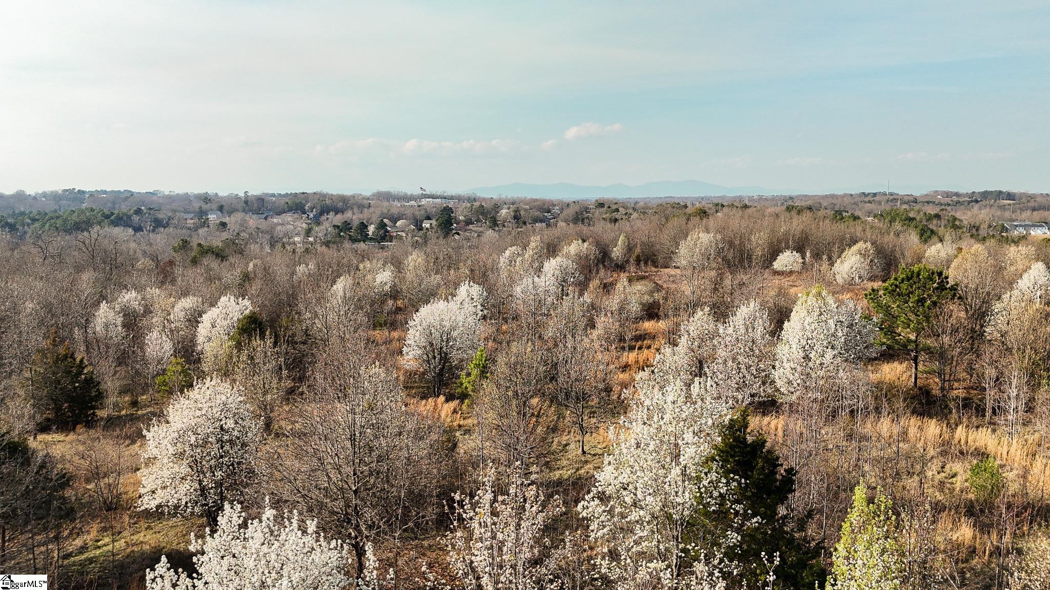 647 Blackwell Road Greer, SC 29651 - Photo 7 of 17