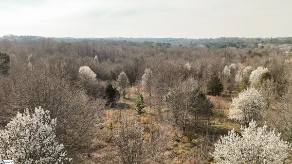 $2,300,000 | 647 Blackwell Road, Greer, SC 29651