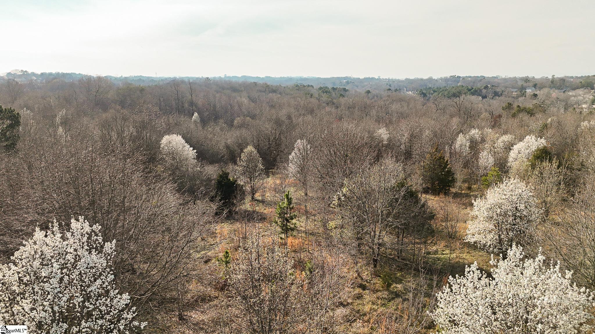 647 Blackwell Road Greer, SC 29651 - Photo 8 of 17