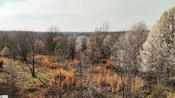 $2,300,000 | 647 Blackwell Road, Greer, SC 29651