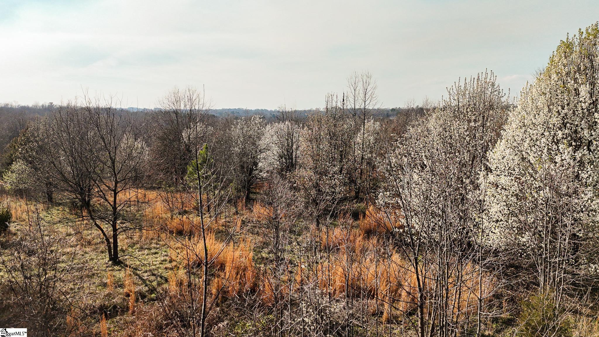 647 Blackwell Road Greer, SC 29651 - Photo 9 of 17